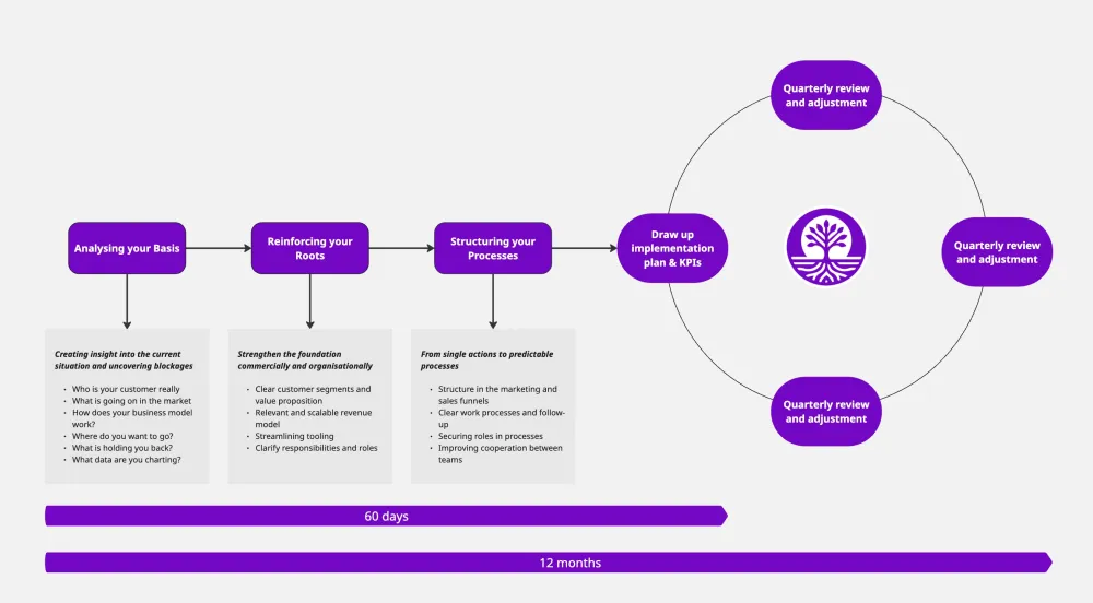 Visueel schema van een groeitraject in vier stappen: ‘Reinforcing your Roots’, ‘Structuring your Processes’, ‘Draw up implementation plan & KPIs’ en ‘Quarterly reviews and adjustments’, met tijdslijn van 60 dagen tot 12 maanden.